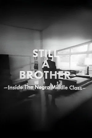 Постер: Still A Brother: Inside the Negro Middle Class