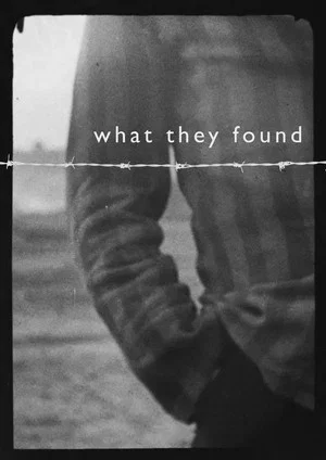 Постер: What They Found