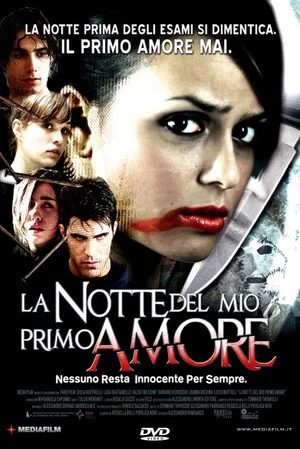 Постер: La notte del mio primo amore
