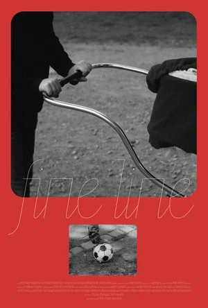 Постер: Fine Line