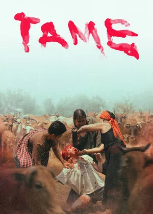 Постер: Tame