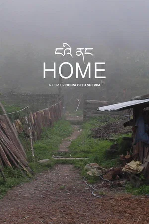 Постер: Home