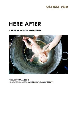 Постер: Here After