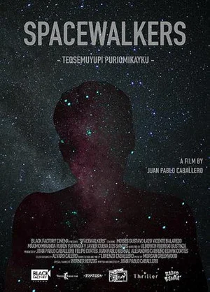 Постер: Spacewalkers