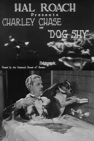 Постер: Dog Shy