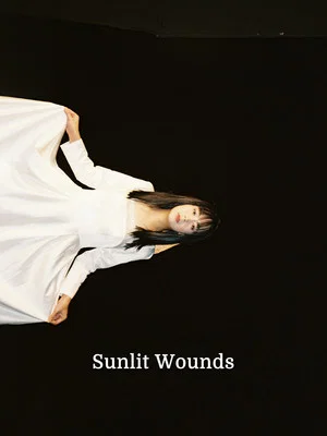 Постер: Sunlit Wounds