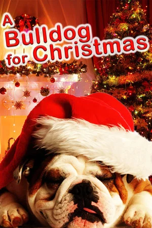 Постер: A Bulldog for Christmas