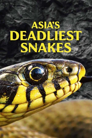 Постер: Asia's Deadliest Snakes