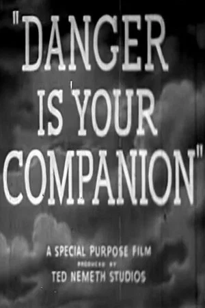 Постер: Danger Is Your Companion