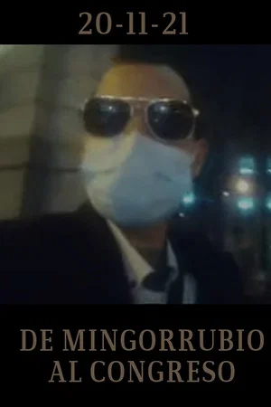 Постер: De Mingorrubio al Congreso