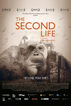 Постер: The Second Life