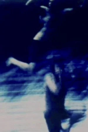 Постер: The Wedding Present