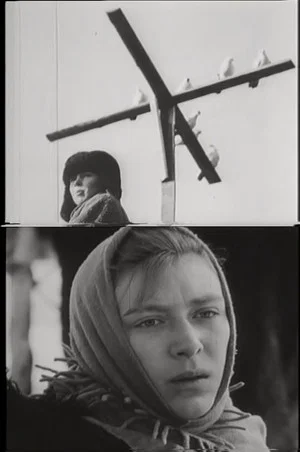 Постер: Петрухина фамилия