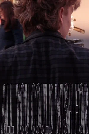 Постер: All You Could Wish For