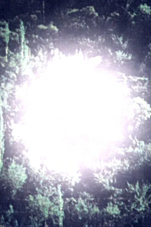 Постер: Inaudible footsteps