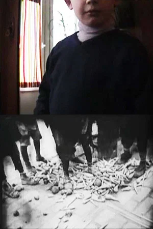 Постер: 2 Home-Movies