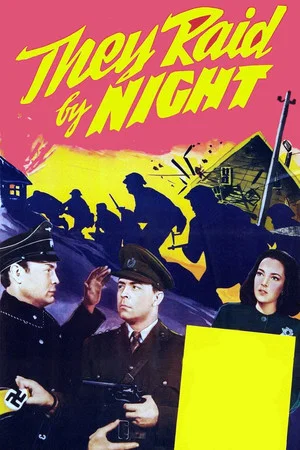Постер: They Raid by Night