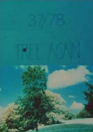 Постер: 37/78: Tree Again