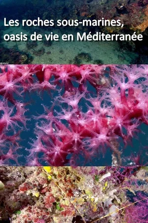 Постер: Les roches sous-marines, oasis de vie en Méditerranée
