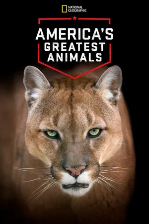 Постер: America's Greatest Animals