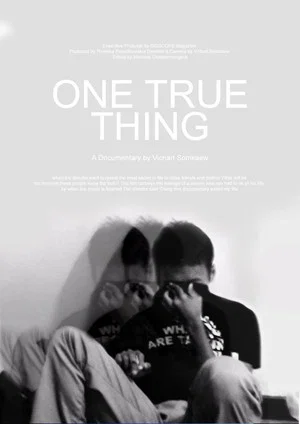 Постер: One True Thing