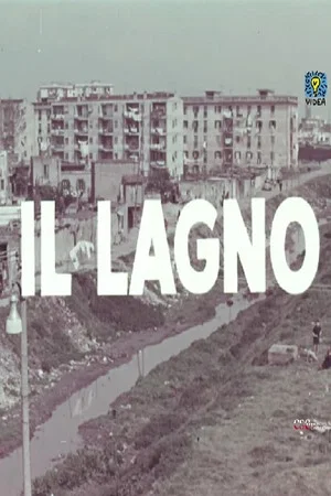 Постер: Il lagno