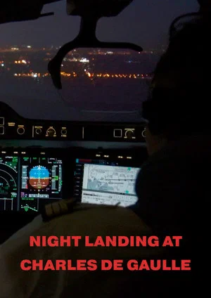 Постер: Night Landing At Charles De Gaulle