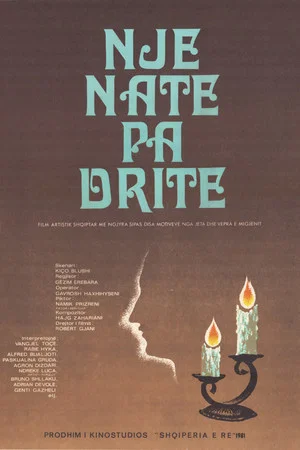 Постер: A Night without Light