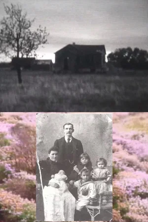 Постер: Homelands