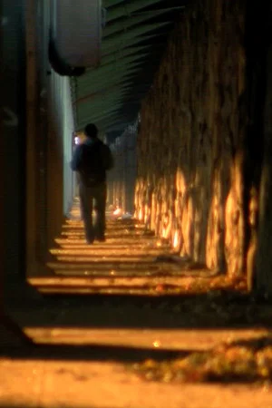 Постер: As You Pass By