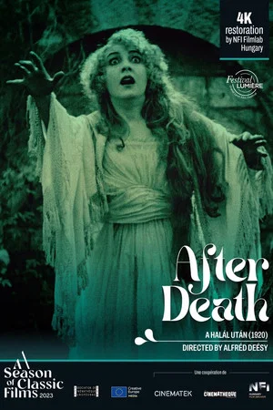Постер: After Death