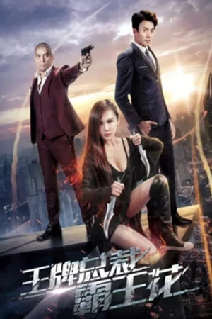 Постер: President and Kung Fu Girl