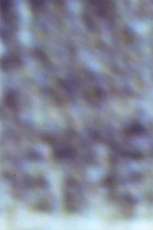 Постер: Gioconda/Film