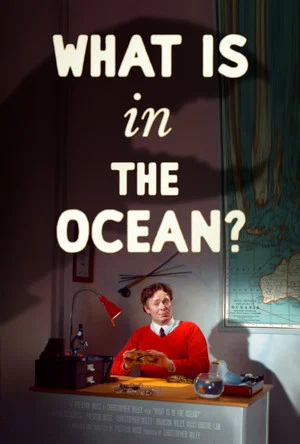 Постер: What Is in the Ocean?