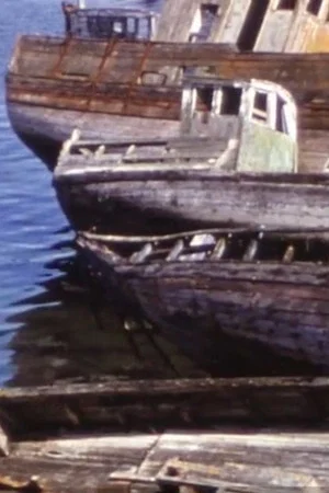 Постер: The island of the marine dead