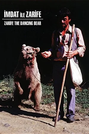 Постер: Zarifa The Dancing Bear