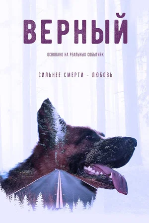 Постер: Верный