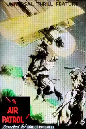 Постер: The Air Patrol