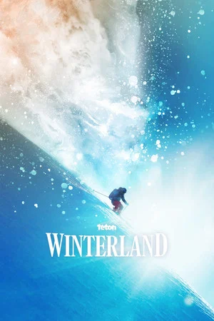 Постер: Winterland
