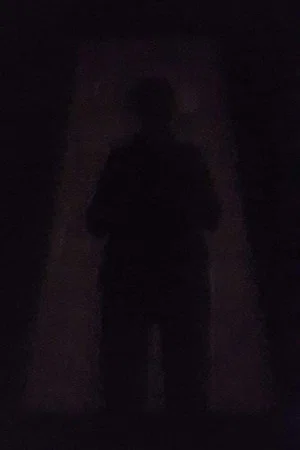 Постер: An Image in the Shadow
