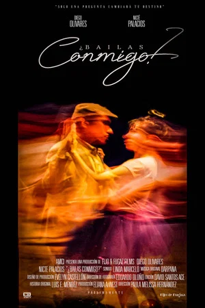 Постер: ¿Bailas Conmigo?