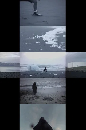 Постер: Wandering Wonderland