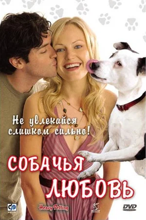 Постер: Собачья любовь