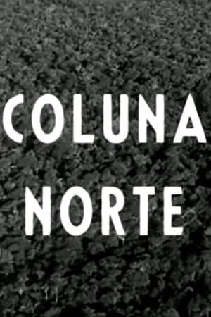 Постер: Coluna Norte