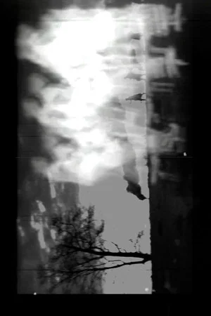 Постер: Foto-climas