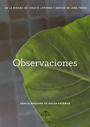 Постер: Observaciones