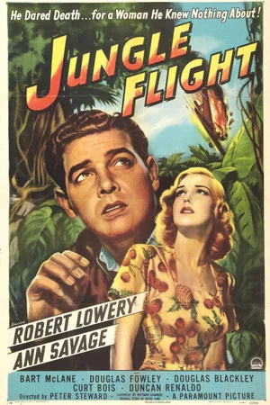 Постер: Jungle Flight