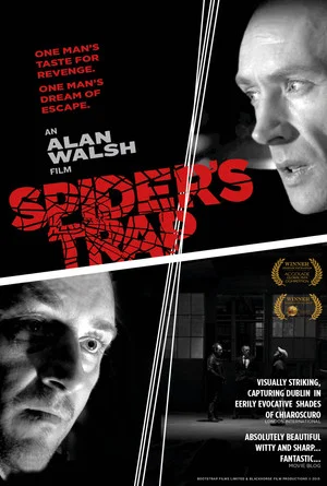 Постер: Spiders Trap