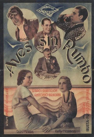 Постер: Aves sin rumbo