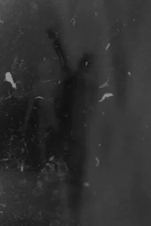 Постер: Veiled